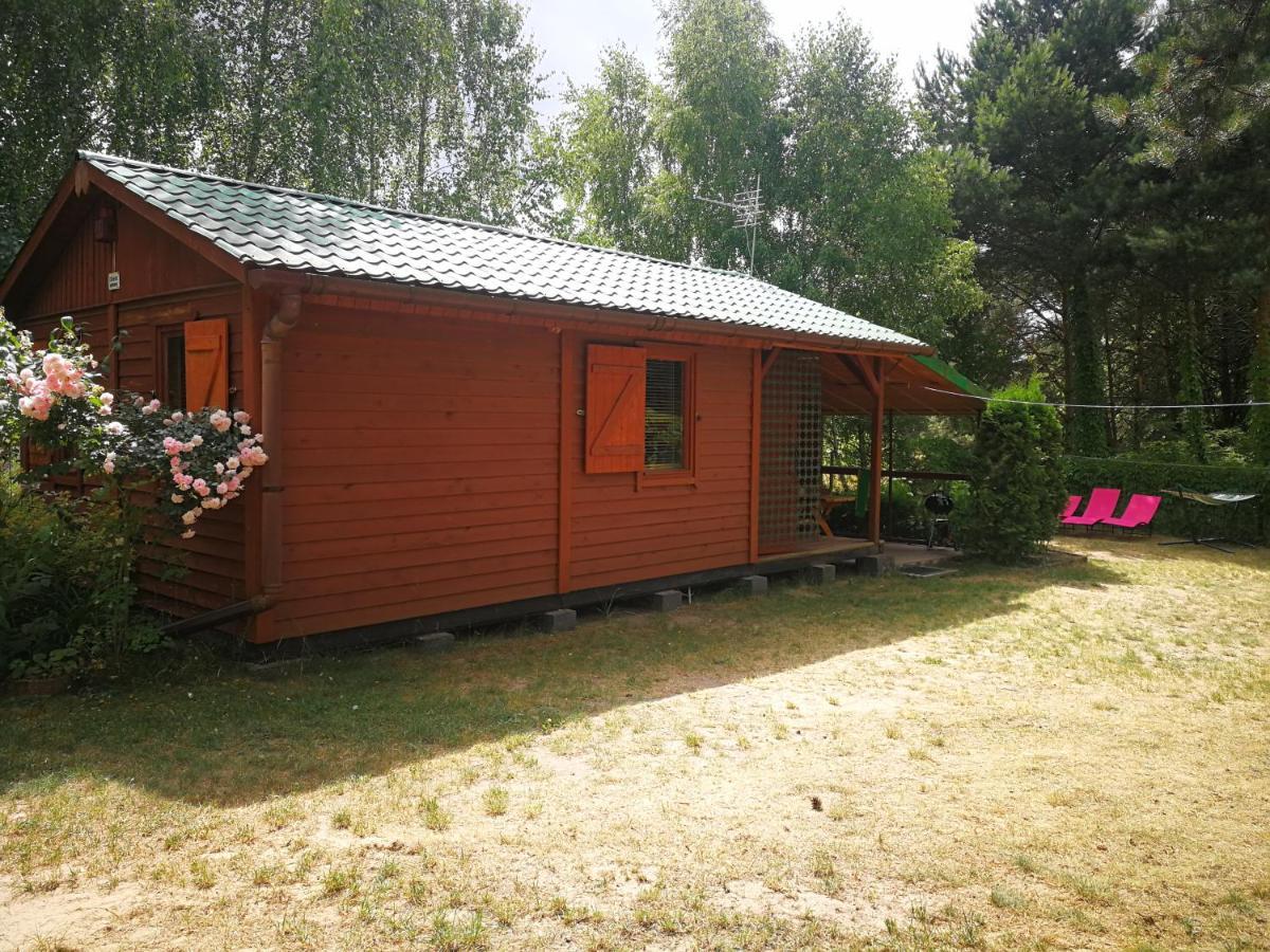 Domki Domek Na Jeziorem Wilczynskim Budzislawskim , Las, Osobno Ogrodzony 2-6 Osob- Klimatyzacja, Ogrzewanie, 62-550 Zygmuntowo Gm Wilczyn Extérieur photo
