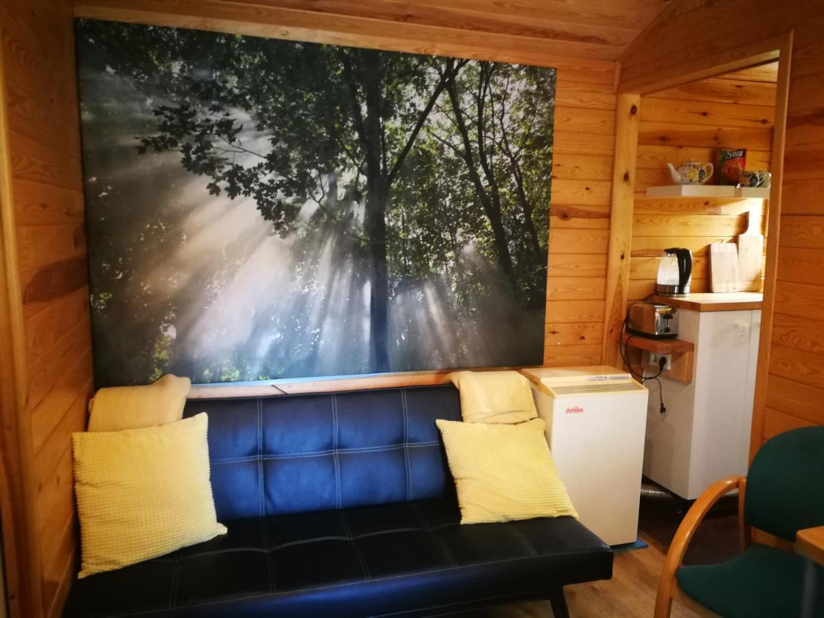 Domki Domek Na Jeziorem Wilczynskim Budzislawskim , Las, Osobno Ogrodzony 2-6 Osob- Klimatyzacja, Ogrzewanie, 62-550 Zygmuntowo Gm Wilczyn Extérieur photo