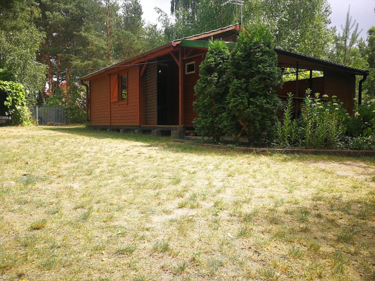 Domki Domek Na Jeziorem Wilczynskim Budzislawskim , Las, Osobno Ogrodzony 2-6 Osob- Klimatyzacja, Ogrzewanie, 62-550 Zygmuntowo Gm Wilczyn Extérieur photo