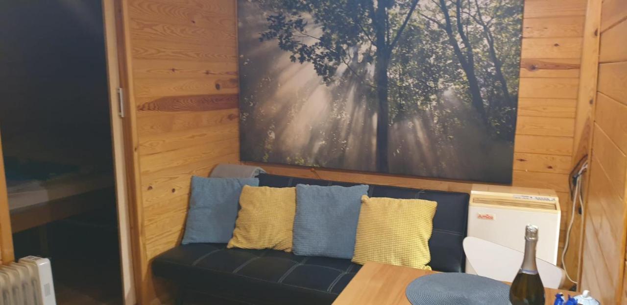 Domki Domek Na Jeziorem Wilczynskim Budzislawskim , Las, Osobno Ogrodzony 2-6 Osob- Klimatyzacja, Ogrzewanie, 62-550 Zygmuntowo Gm Wilczyn Extérieur photo